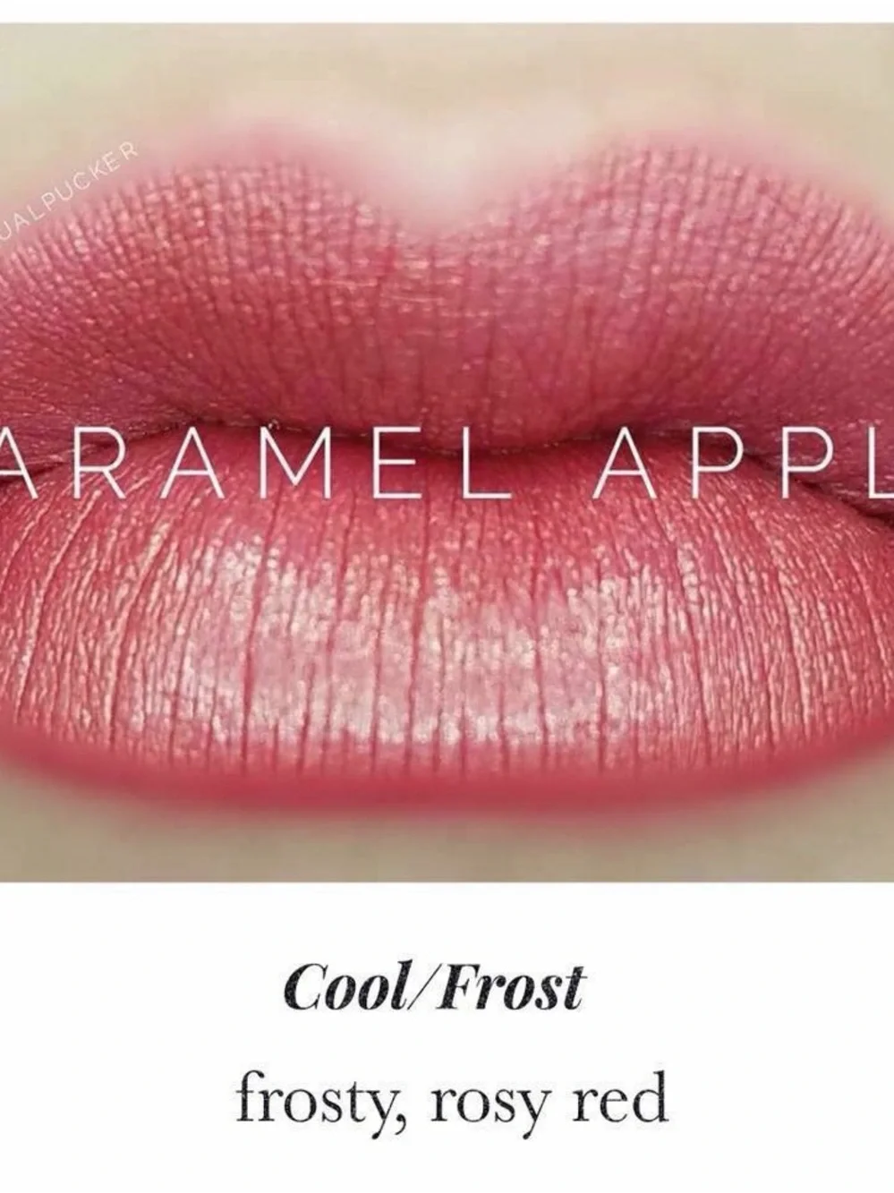 Lipsense by SeneGence Caramel Apple new never opened